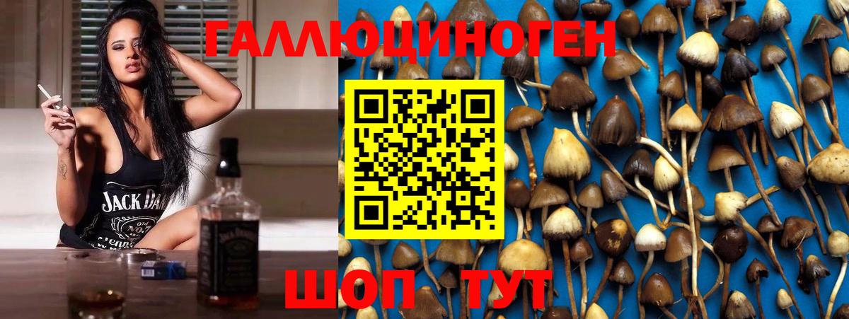 Галлюциногенные грибы мицелий Реутов