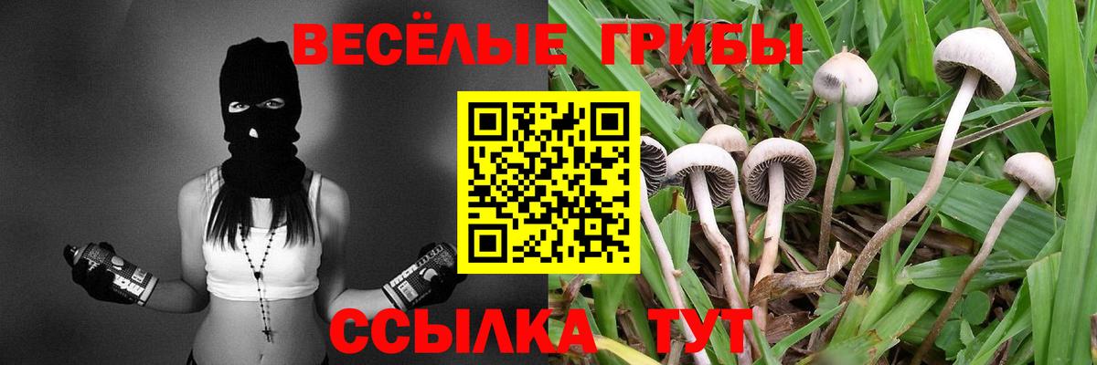 Псилоцибиновые грибы Psilocybe  Вход с VPN  Реутов 